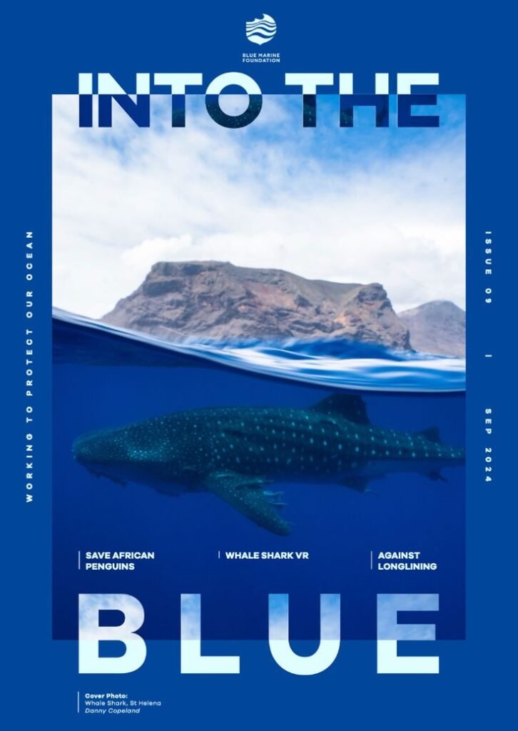 Into the Blue – [Duplicated #366] – [Duplicated #377] – [Duplicated #379]